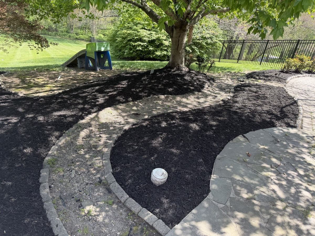 Curved paver edging separating lawn from a planted bed
